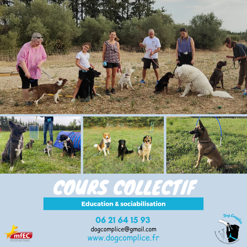 Cours collectif