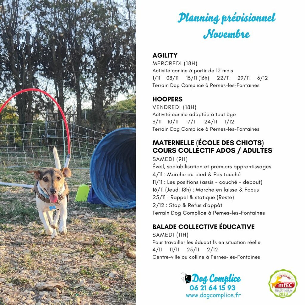 planning cours collectif novembre