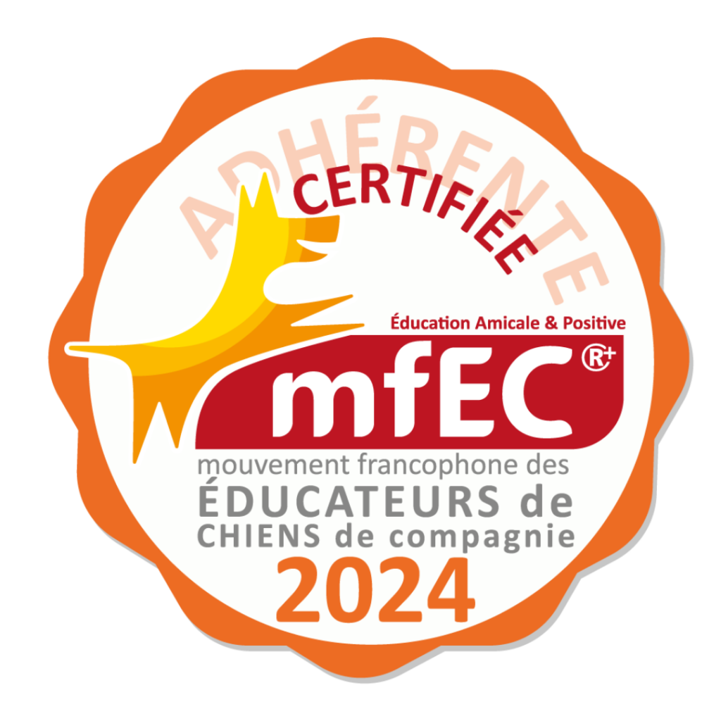 certifiée MFEC 2024