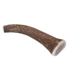 Bois de cerf entier