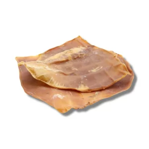 Calamar géant séché