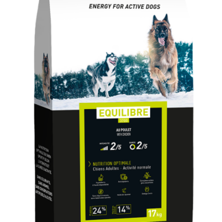 Pro Team 3700 Equilibre