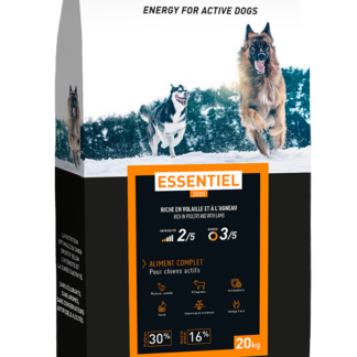 Pro Team 3800 Essentiel