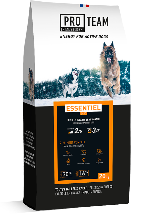 Pro Team 3800 Essentiel