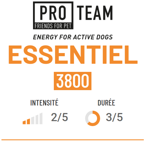 Pro Team 3800 Essentiel – Image 2