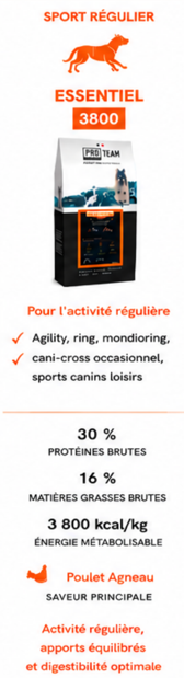 Pro Team 3800 Essentiel – Image 3