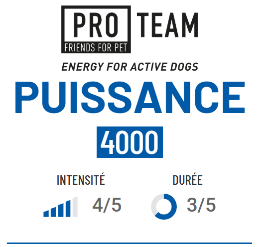 Pro Team 4000 Puissance – Image 2