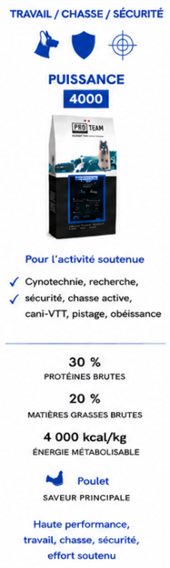 Pro Team 4000 Puissance – Image 3