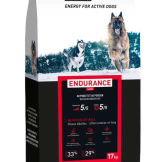 Pro Team 4400 Endurance