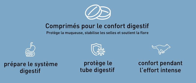 Pro Team Digest Protect – Image 3